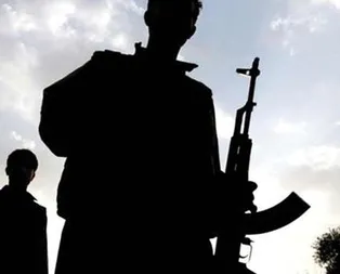 İçişleri Bakanlığı: 2 terörist Ayn El Arap bölgesinden kaçarak Urfada teslim oldu