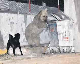 Mahalle baskını!