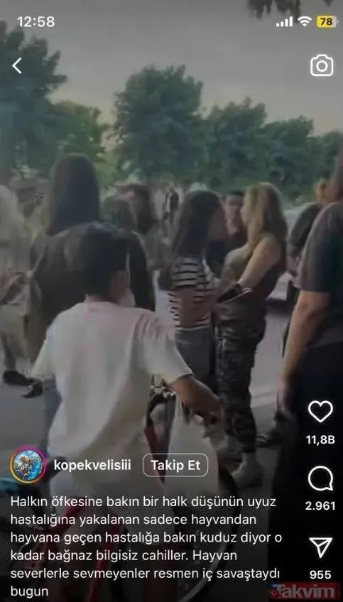 35 kuduz köpeği Şanlıurfa'dan Ankara'ya taşıyan Buket Özgünlü Boyacı hakkında flaş karar!-3