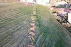 Kahramanmaraş depremi köyü kağıt gibi ikiye böldü! Yarık yüzlerce metre ilerledi