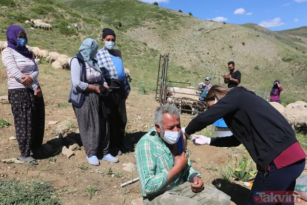 Tunceli'de sürü sahipleri 2 bin 500 metre rakımlı yaylada aşılandı - 1