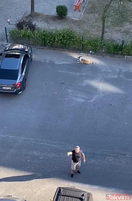 'Daire 16' sözleriyle gündem oldu! Köpük yerinde kalacak - 18