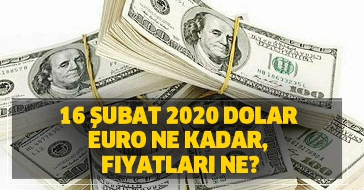 17 subat 2020 dolar ve euro ne kadar