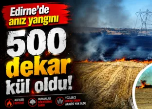 Edirne’de anız yangını: 500 dekar kül oldu