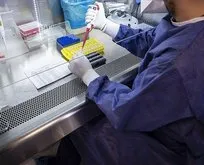 PCR testleri ücretli mi olacak?