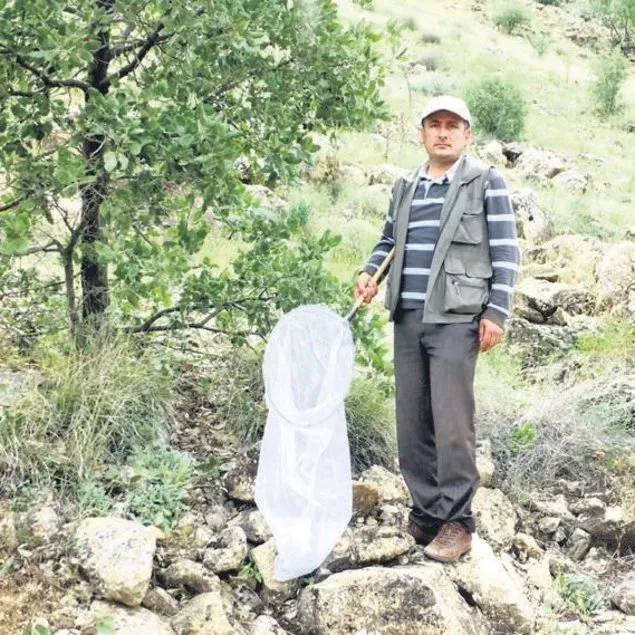 Böceğe eşinin adını koydu