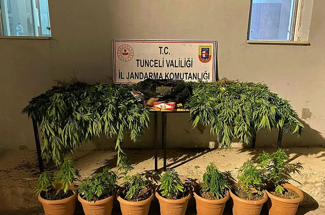 Tunceli'de uyuşturucu operasyonu!