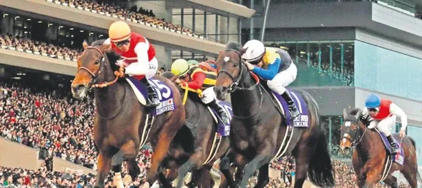 At yarışı-piyango aynı pakette