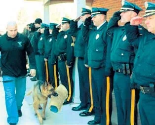 Dikkat! Köpek geçiyor