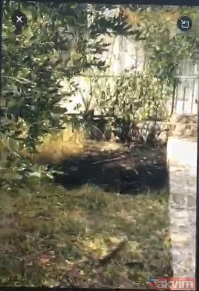 Hatay'daki yangından son dakika görüntüleri: Alevlerden böyle kaçtılar - 6