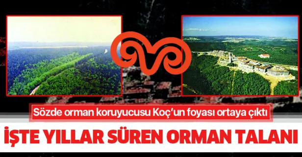 Sozde Orman Koruyucusu Koc Un Foyasi Ortaya Cikti Iste Yillar Suren Orman Talani Takvim
