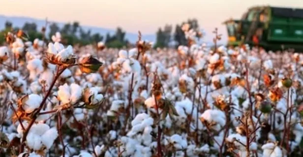 2020 mazot gübre desteği ne zaman ödenecek? Mazot, gübre, hububat, baklagil ve buzağı desteği ödemeleri yattı mı?-2