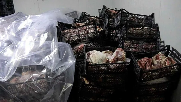 adanada-38-ton-920-kilo-kokmus-kacak-et-ele-gecirildi-1597744474694.jpeg Son dakika: Adana'da, piyasaya sürülmek üzere hazır bulunan 38 ton 920 kilo kokmuş kaçak et ele geçirildi-1