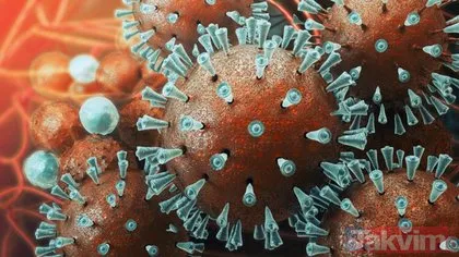 Koronavirüsü paniği giderek büyüyor! Bunları yapmayan Coronavirüsüne yakanalanabilir!