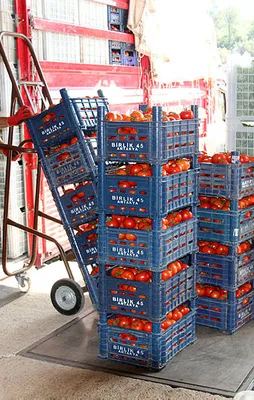 Rusya'ya ihracat artışı yüzde 50'yi aştı