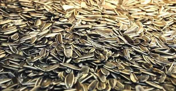 Çekirdeğin sağlık üzerindeki etkileri nelerdir?