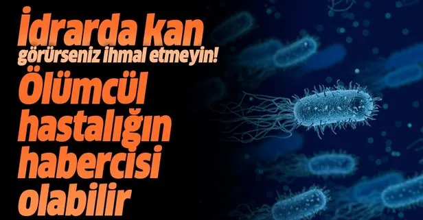 İdrar kan, o hastalığın habercisi olabilir