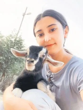1691445308008.jpeg Dikkat meteor düşebilir! İstanbul’daki ışık süzmesi sosyal medyayı salladı: Önümüzdeki günlerde yine görülebilir...-6