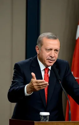Erdoğan'ın çağrısı sonrası rekor kırıldı
