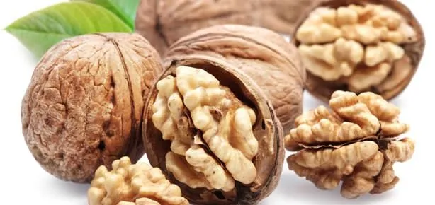 5 ceviz 10 fındık zekayı katladık