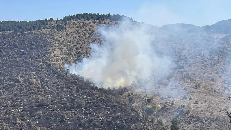 Ankara'da başladı Bolu'ya sıçradı! Gerede'deki orman yangını kontrol altına alındı-5