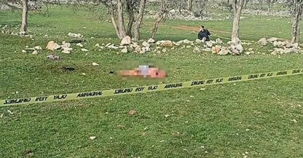 Antalya’da başıboş bırakılan köpeklerin saldırısına uğrayan kadın öldü