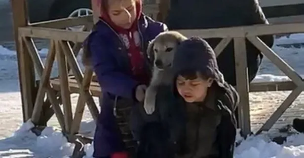 Günün en güzel fotoğrafı! Van Erciş’te küçük çocuk sokak köpeğini soğuk havada sırtına alıp taşıdı