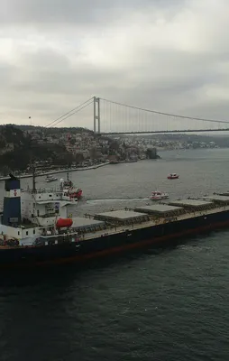 Boğaz'daki tehlikeye İlber Ortaylı da dikkat çekti