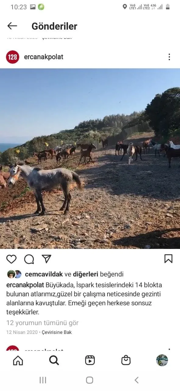 ibbnin-satin-aldigi-978-atin-kayip-oldugu-bu-atlardan-224unun-oldugu-aciklandi-cipler-her-seyi-ortaya-cikaracak-1620073327076.jpg