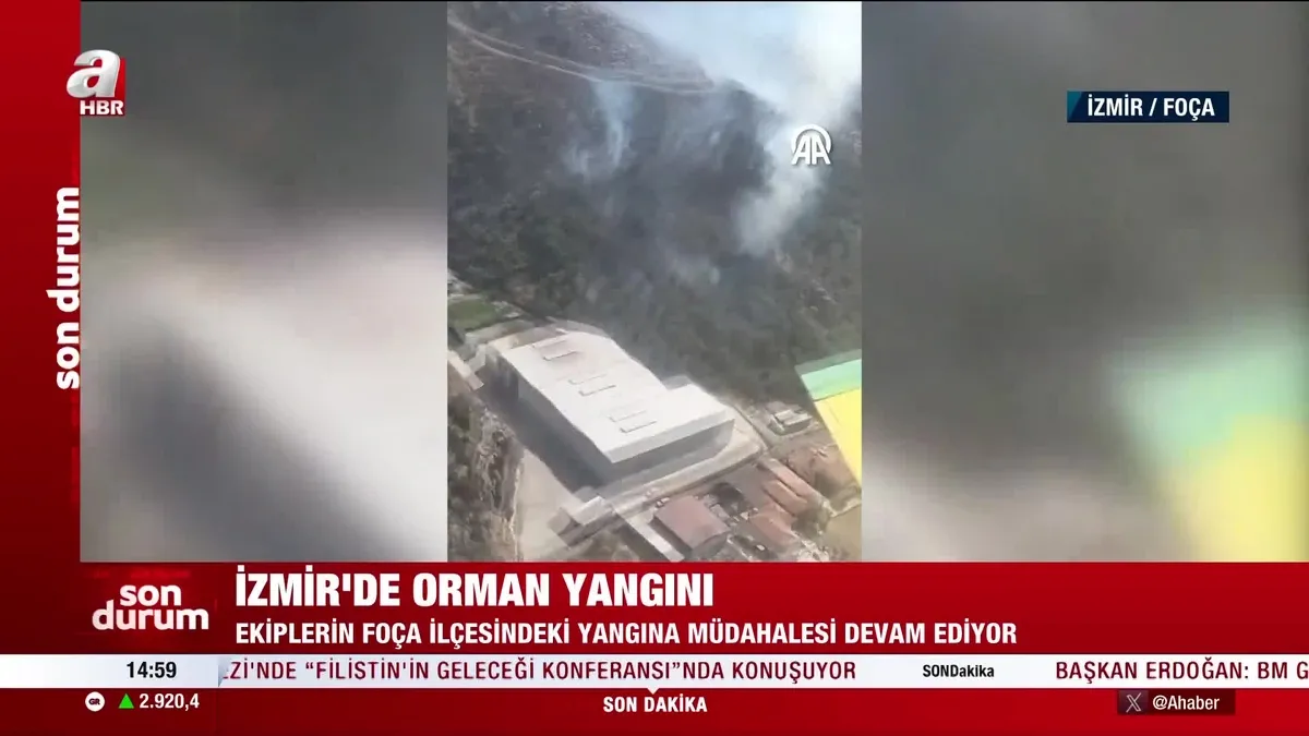 İzmir Foça'da orman yangını!