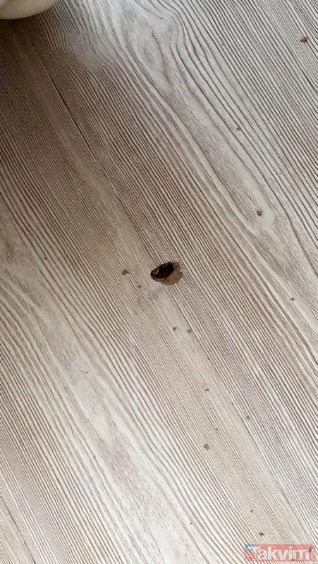 Erkek arkadaşı ensesinden vurdu! Genç kadının ilk duruşma öncesi yardım çığlığı - 14