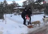 Van polisi sokak hayvanlarını unutmadı