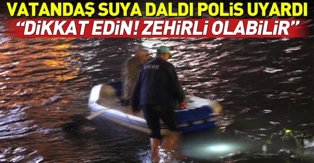 Amasya Yeşilırmak'ta balıklar kıyıya vurdu