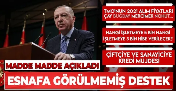 Başkan Erdoğan açıkladı! İşte esnafa ve çiftçiye destek paketinin detayları...