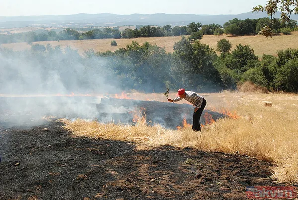 Havadan ayrı karadan ayrı müdahale! Çanakkale'de yangın ormanlık alana sıçradı! - 3