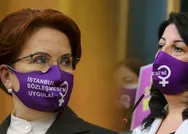 İYİ Parti Genel Başkanı Meral Akşener HDPyi korudu