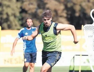 Kanarya’dan yoğun tempo