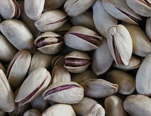Fıstık gibi haber