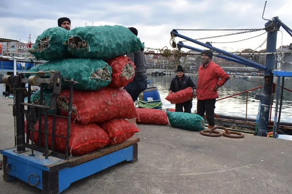 turkiye-2021-yilinin-ilk-iki-ayinda-2-milyon-675-bin-123-dolarlik-deniz-salyangozu-ihrac-etti-1616499378751.jpg Türkiye 2021 yılının ilk iki ayında 2 milyon 675 bin 123 dolarlık deniz salyangozu ihraç etti-6