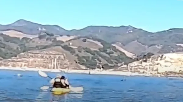 kambur-balina-kanoya-binen-iki-kadini-yutmaya-calisti-1604747211947.jpg Kambur balina, kanoya binen iki kadını yutmaya çalıştı-2