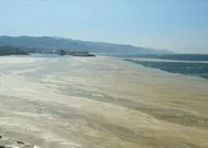 Deniz salyası neden olur? Deniz salyası insana zarar verir mi? Deniz salyası nerelerde var?