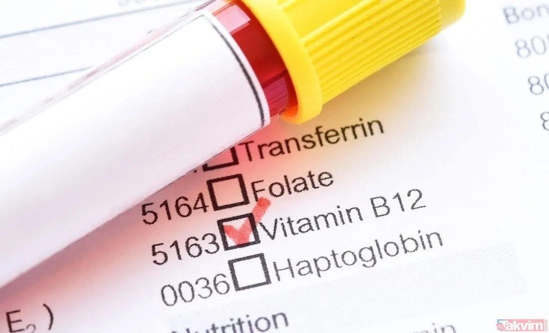 B12 vitamini hangi besinlerde bulunur? B12 ne işe yarar? Eksikliği için