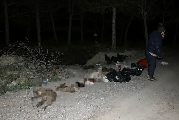 ankarada-imrahor-deresi-yataginda-damar-yolu-acilmis-30-kopek-olusu-bulundu-1617917016716.jpg Ankara'da İmrahor Deresi yatağında damar yolu açılmış 30 köpek ölüsü bulundu-2
