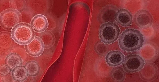 ABD’li biyoteknoloji şirketi, kanserin yerini tespit edebilecek bir teknoloji üretti