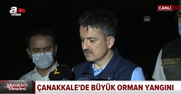 canakkale-geliboluda-orman-yangini-iste-son-durum-1594073475190.jpg Çanakkale Gelibolu'da orman yangını! İşte son durum-3