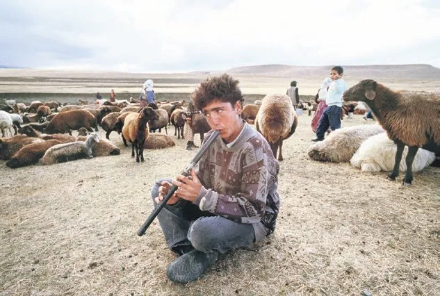 Yunan adalarına sanat çıkartması