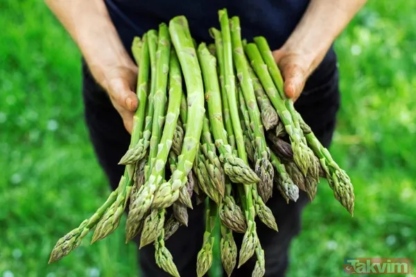 Kuşkonmaz, Vitaminlerle (A, B Kompleksi, C Ve E Vitaminleri), Aynı Zamanda Çinko Ve Potasyum Gibi Mineraller İle Doludur.