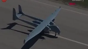 Aksungur gökyüzü ile buluştu