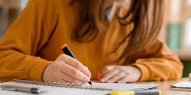 Öğrenci belgesi nasıl alınır? E-devlet öğrencilik belgesi sorgulama ekranı! İlkokul, ortaokul, lise öğrenci belgesi nereden alınır?-3