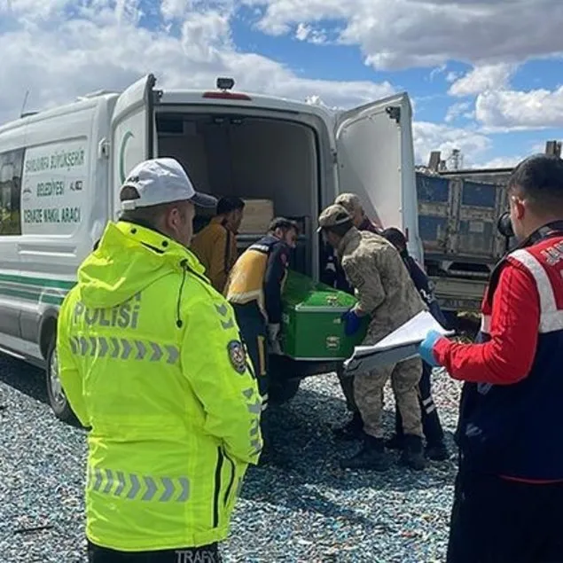 Şanlıurfa’da araçlar birbirine girdi